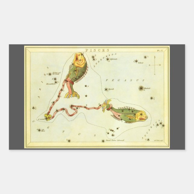 Pegatina Rectangular Pescado picante, espejo de la vieja constelación d (Anverso)