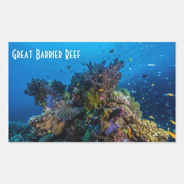 Pegatina Rectangular Pescado Tropical Gran Barrera de Coral de Arrecife (Anverso)