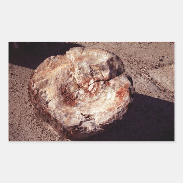 Pegatina Rectangular Petrified Wood Log con Shadows Arizona Photo (Anverso)