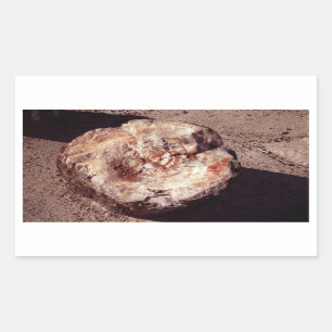 Pegatina Rectangular Petrified Wood Log con Shadows Arizona Photo