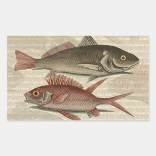 Pegatina Rectangular Pez Lubina Roja Pescador Arte