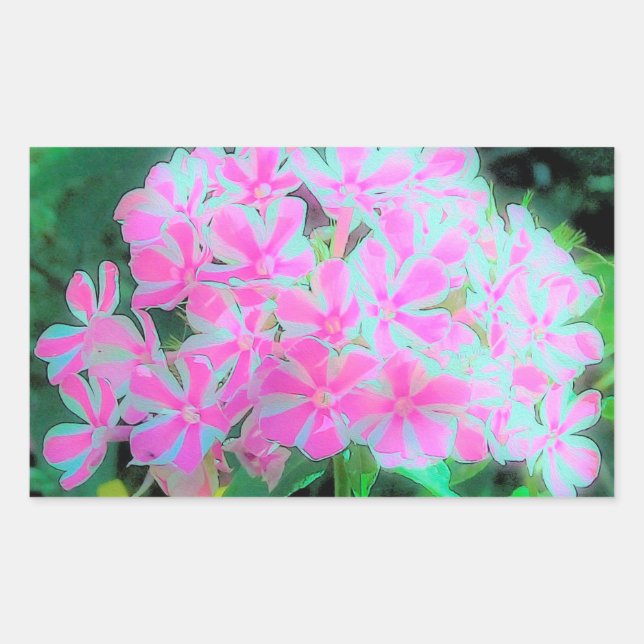 Pegatina Rectangular Phlox Jardín de menta blanca y rosa caliente (Anverso)
