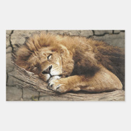 Pegatina Rectangular Piedra de gato salvaje para animales