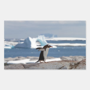 Pegatina Rectangular Pingüino frente a un arco de hielo