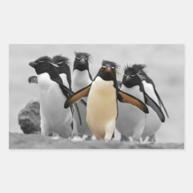 Pegatina Rectangular Pingüinos de Rockhopper (Anverso)