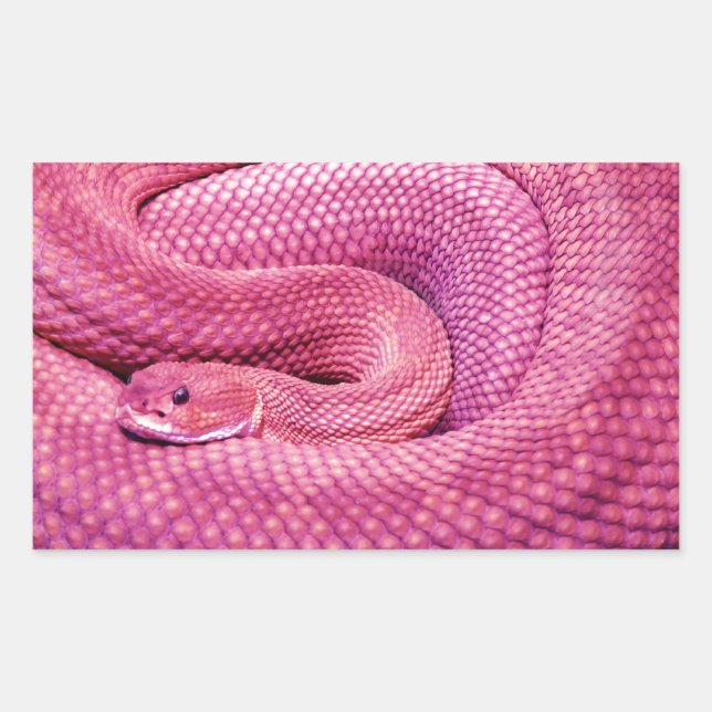 Pegatina Rectangular Pink Basilisk Rattlesnake (Anverso)