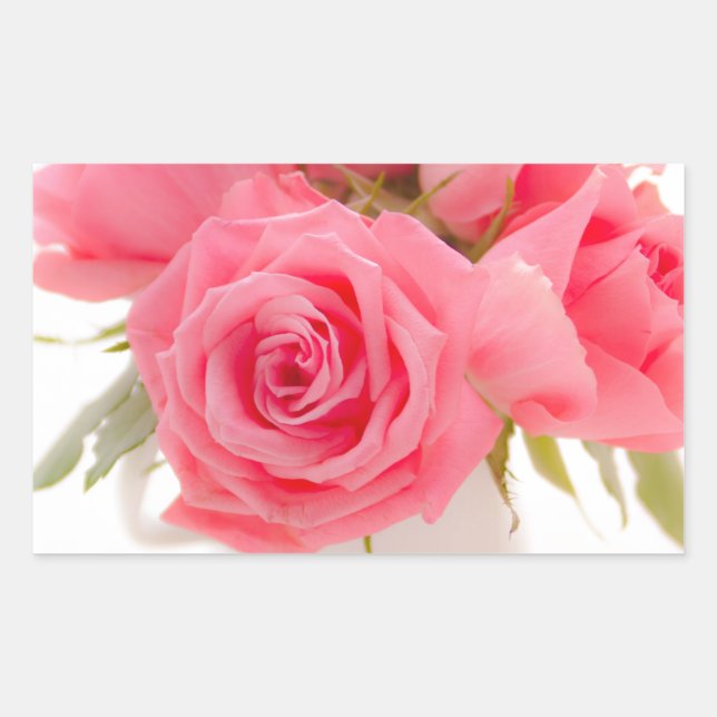 Pegatina Rectangular Pink roses | mothersday | birthday | (Anverso)