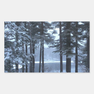 Pegatina Rectangular Pinos blancos con luz azul —