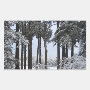 Pegatina Rectangular Pinos nevados con luz azul —