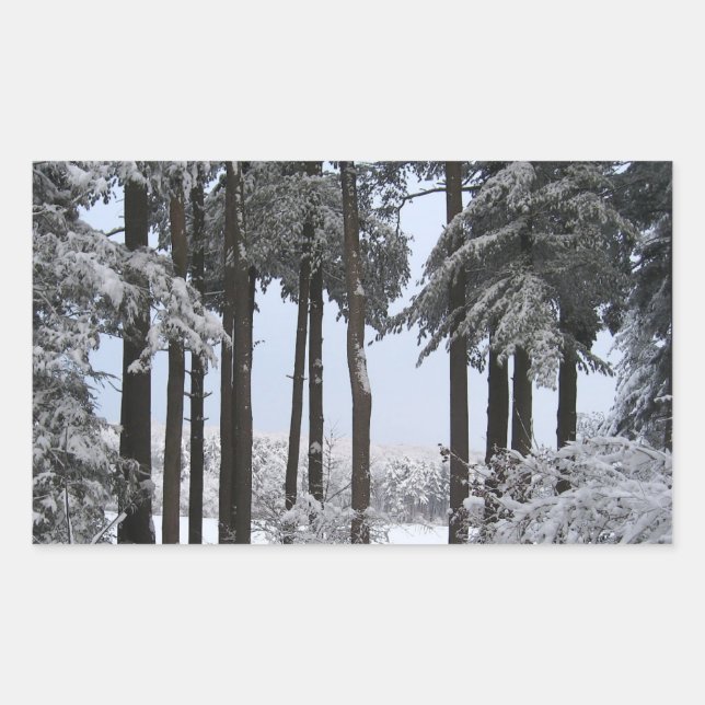 Pegatina Rectangular Pinos nevados con luz azul — (Anverso)