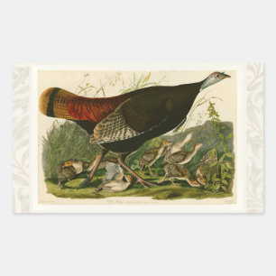 Pegatina Rectangular Pintado de aves salvajes Audubon en Turquía