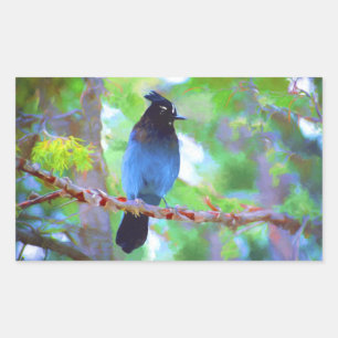 Pegatina Rectangular Pintura de Jay de Steller - Arte de pájaro origina