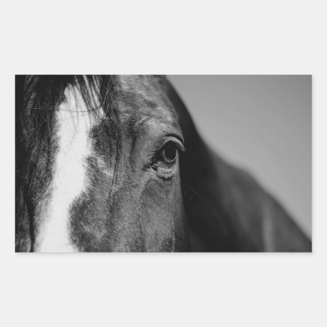Pegatina Rectangular Pintura de ojos de caballo blanco negro (Anverso)