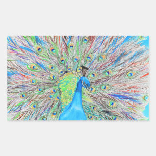 Pegatina Rectangular Pintura de pavo real acuático