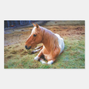 Pegatina Rectangular Pintura de reposo de caballos Palomino Pinto