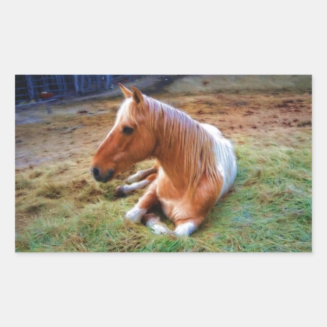Pegatina Rectangular Pintura de reposo de caballos Palomino Pinto (Anverso)