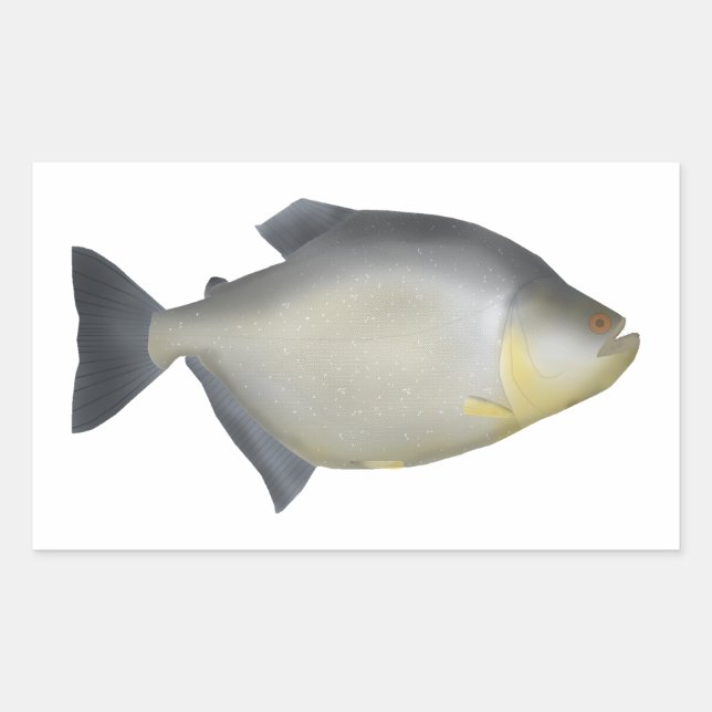 Pegatina Rectangular Piraña moteada (Anverso)