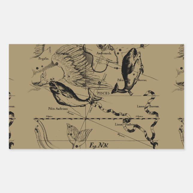 Pegatina Rectangular Pisces Constellation Hevelius Decoración 1690 (Anverso)