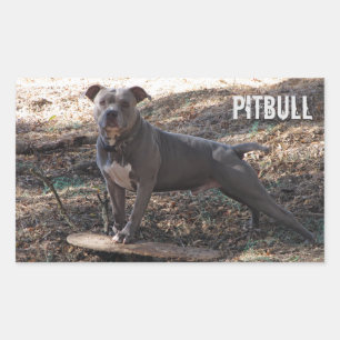 Pegatina Rectangular Pitbull con Pegatinas del Skateboard