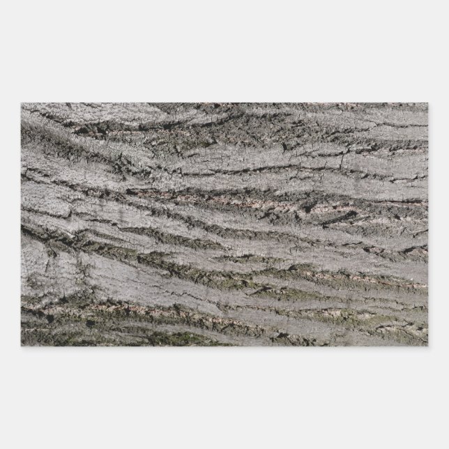 Pegatina Rectangular planta de naturaleza del patrón de textura de cort (Anverso)