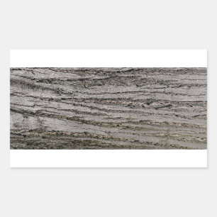Pegatina Rectangular planta de naturaleza del patrón de textura de cort