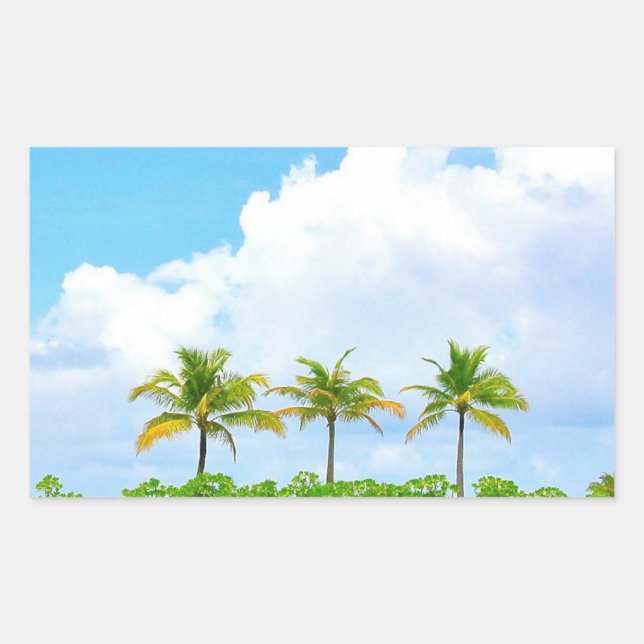 Pegatina Rectangular Plantilla en blanco de palmeras nubes cielo azul p (Anverso)