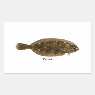 Pegatina Rectangular Platija