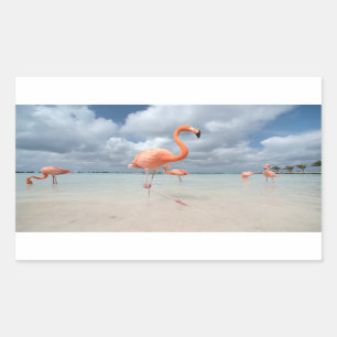Pegatina Rectangular Playa Aruba de los flamencos