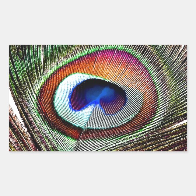 Pegatina Rectangular Pluma Colorida de Pavo Real de Cobre (Anverso)