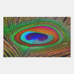 Pegatina Rectangular Pluma de pavo real de cobre vibrante