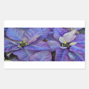 Pegatina Rectangular Poinsettia navidad púrpura