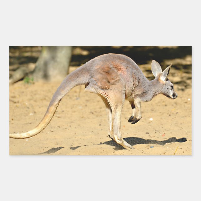 Pegatina Rectangular Poster de postales de vacaciones de vacaciones de  (Anverso)