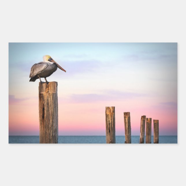 Pegatina Rectangular Posts y una Pelican | Fort Myers Beach, Florida (Anverso)