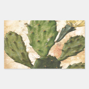 Pegatina Rectangular Pricky Pear