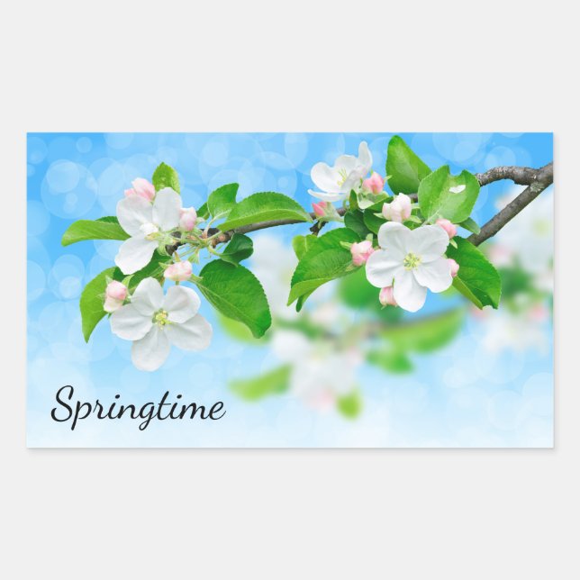 Pegatina Rectangular Primavera (flores de manzana) (Anverso)