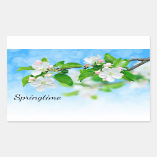 Pegatina Rectangular Primavera (flores de manzana)