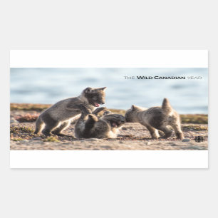 Pegatina Rectangular Primavera - Fox ártica