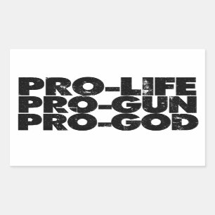 Pegatina Rectangular Pro-life Pro-gun Pro-dios