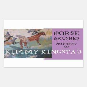 PEGATINA RECTANGULAR PROPIEDAD DE