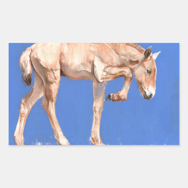 Pegatina Rectangular Przewalski Foal 2012 (Anverso)
