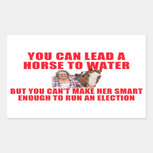 Pegatina Rectangular Puedes llevar a un caballo al agua