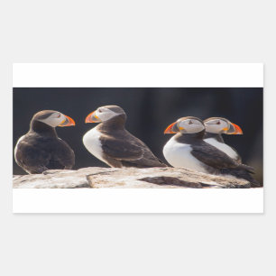 Pegatina Rectangular Puffins