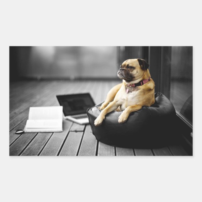 Pegatina Rectangular Pug en reposo (Anverso)