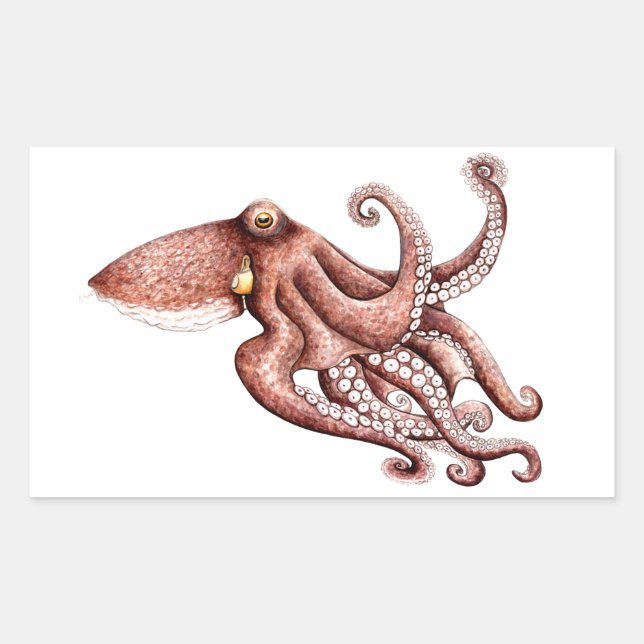 Pegatina Rectangular Pulpo - Octopus vulgaris (Anverso)