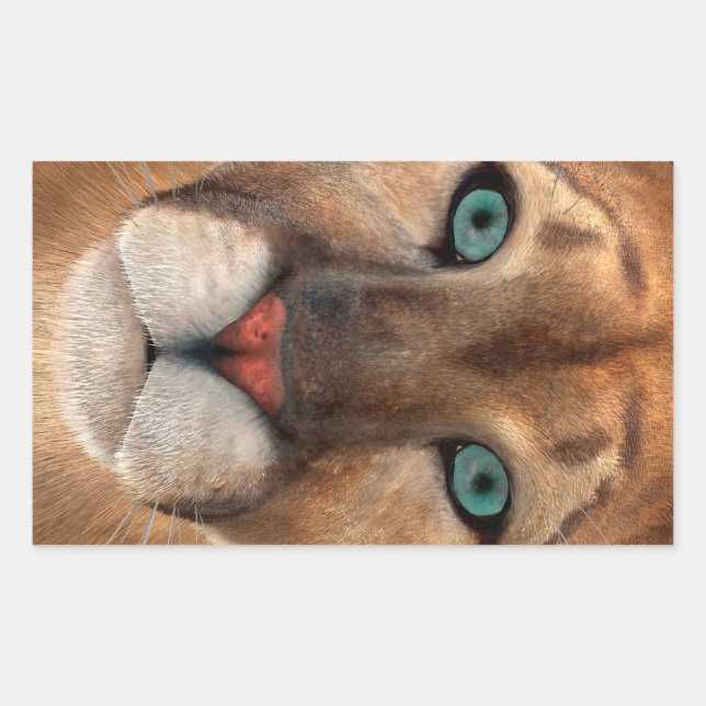 Pegatina Rectangular Puma (Anverso)