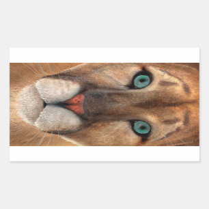 Pegatina Rectangular Puma