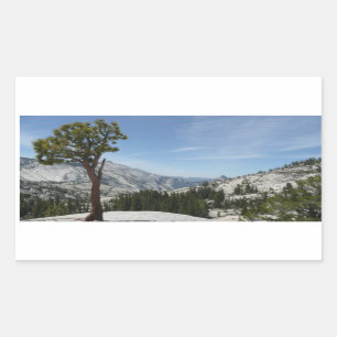 Pegatina Rectangular Punto I abandonado en el Parque Nacional Yosemite