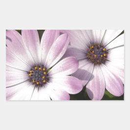 Pegatina Rectangular Purple Daisies