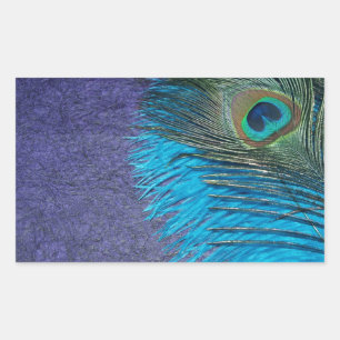 Pegatina Rectangular Púrpura y Verde azulada Peacock