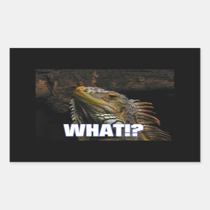 Pegatina Rectangular ¿¡Qué!? Iguana